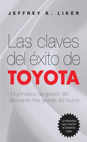 una perfecta equivocación<3  Decir no, Primer coche, Libros